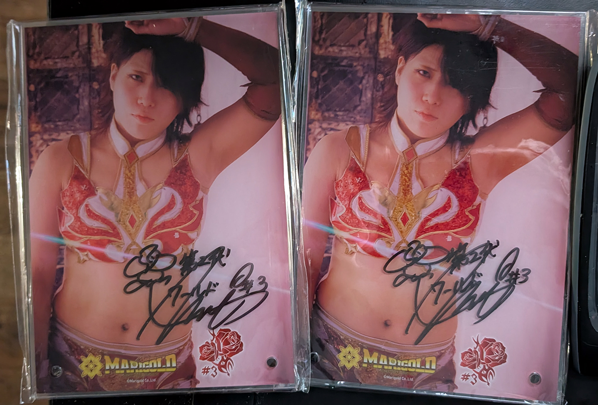 JoshiPuro's tweet image. I wanted to know what the signed Utami acrylic panels looked like so I got two. May keep, may sell.