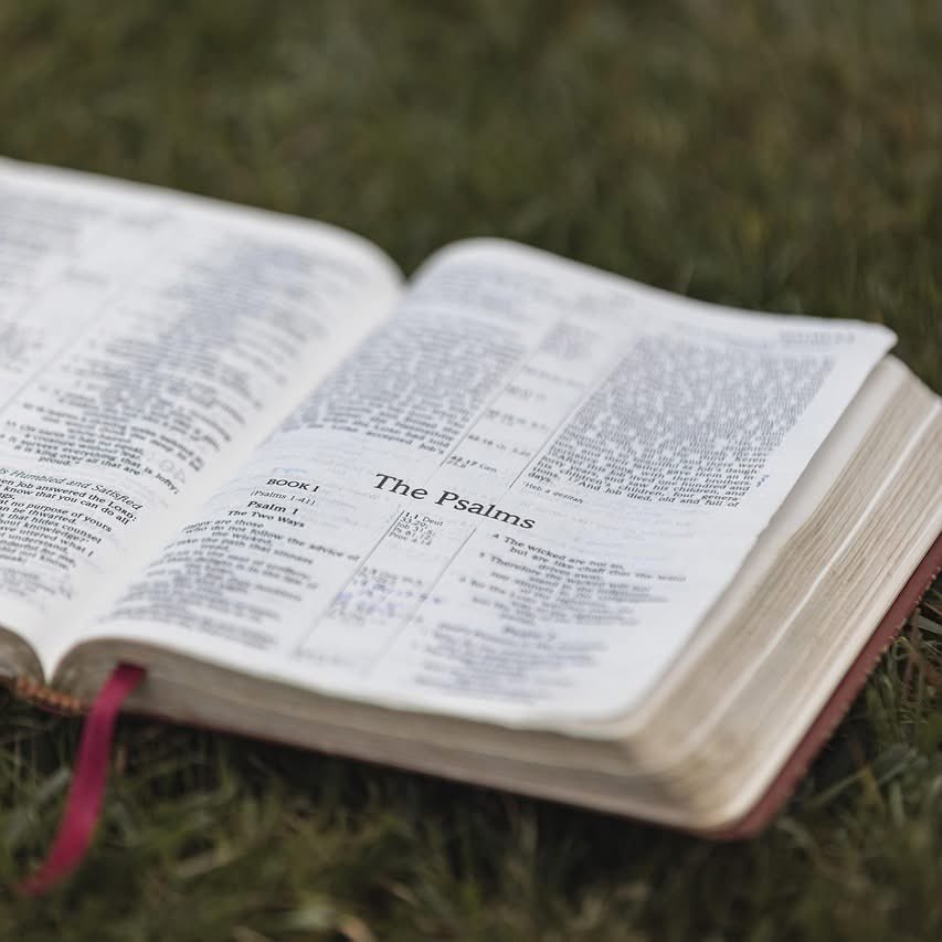 ResplendencyInc's tweet image. God Keeps His Word
Psalm 18:30 tells us, “As for God, his way is perfect: The LORD’s word is flawless; he shields all who take refuge in him.” We encourage you to take God at His word. His promise to each of us who believe is that we will find shelter and refuge. Keep in mind…