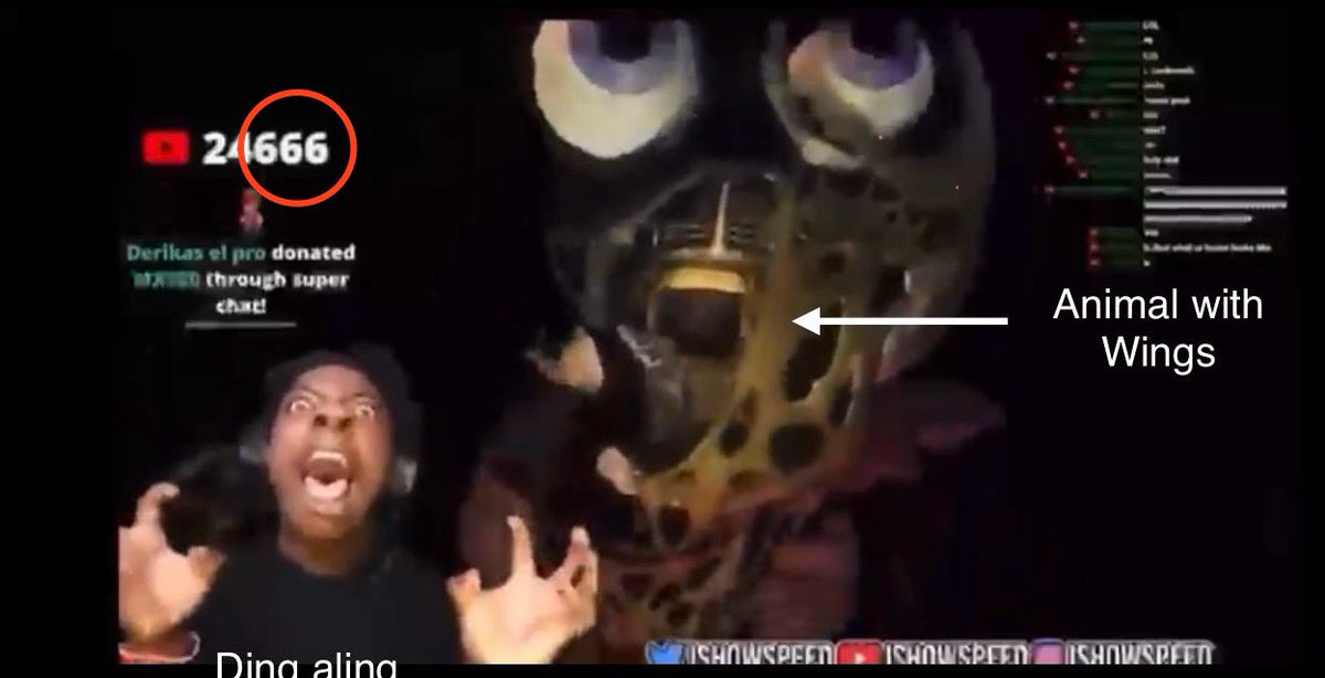 Bat Mox 🦇 (@bat_mox) on Twitter photo 