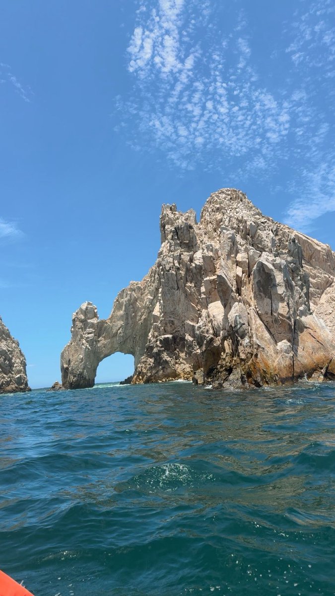 _raquel11_'s tweet photo. 🌊🐬🪼🛳️🐚 https://t.co/JUEk0vdGT9