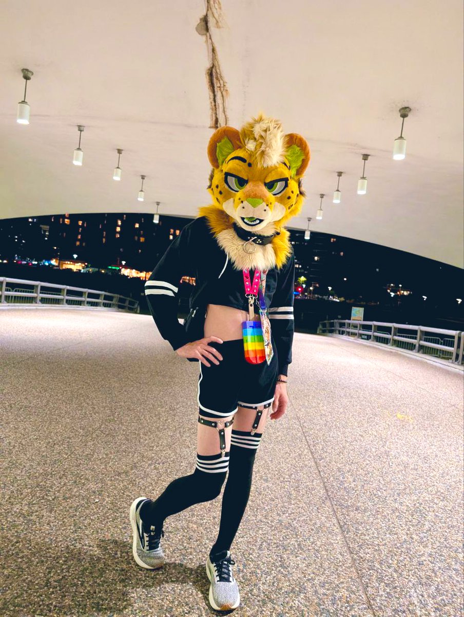 You have to give him a smooch if you wanna cross

#FursuitFriday 
📸: <a href="/VahtTheHusky/">Vaht The Puppy</a>