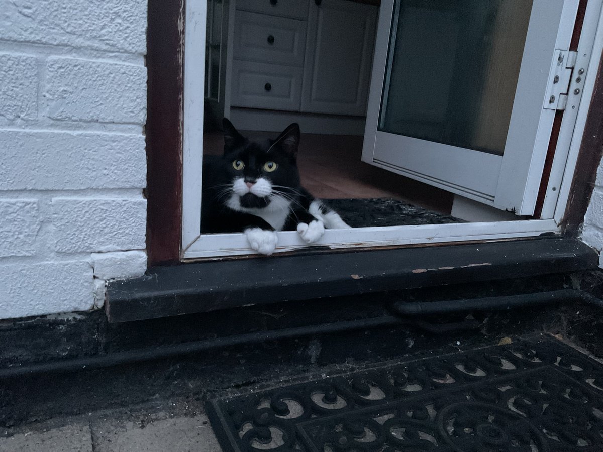 Gallery 47 tweet media