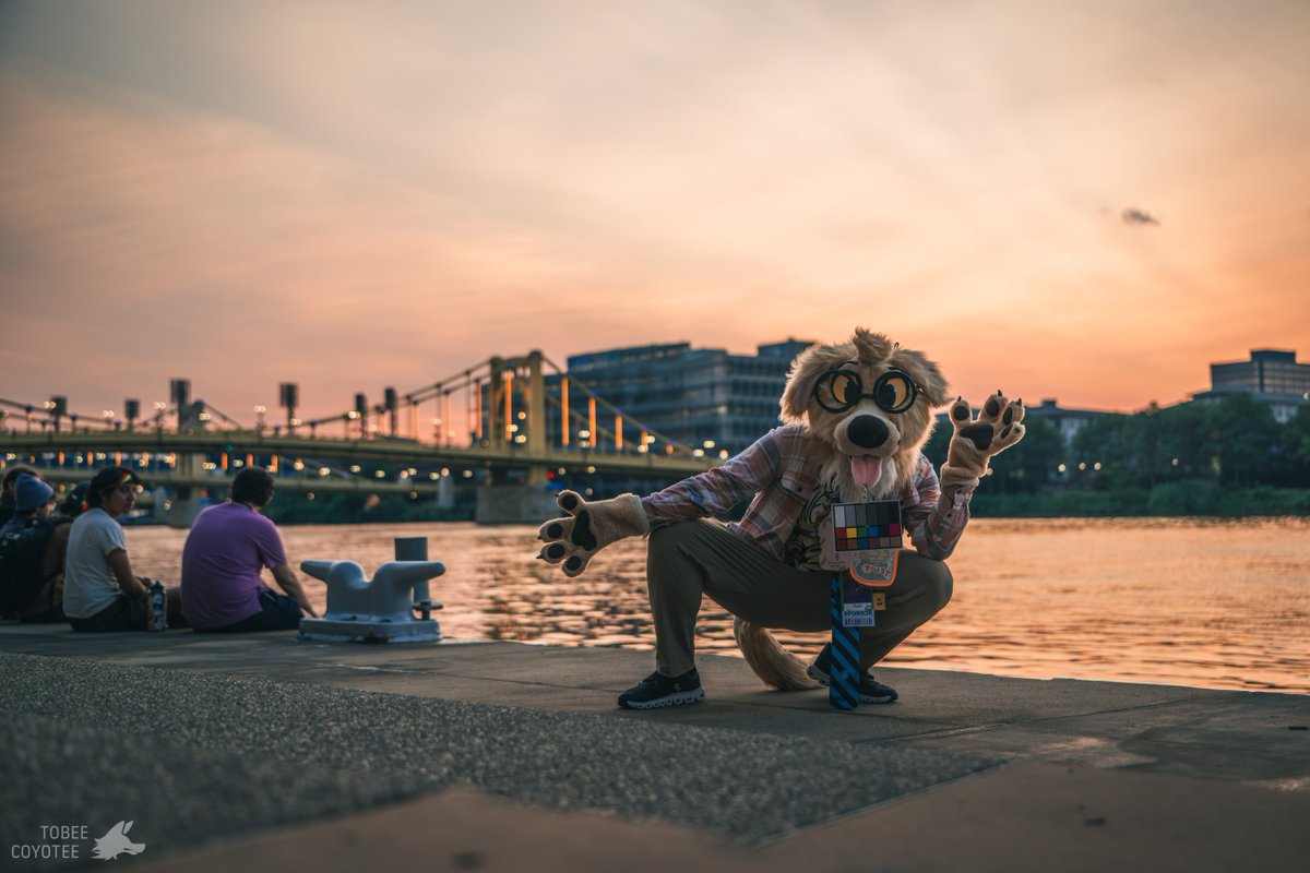 ToastIsADog's tweet image. The yellow arches matches my fur pretty well...
π·:@tobeecoyotee
#AC2025 #FursuitFriday
