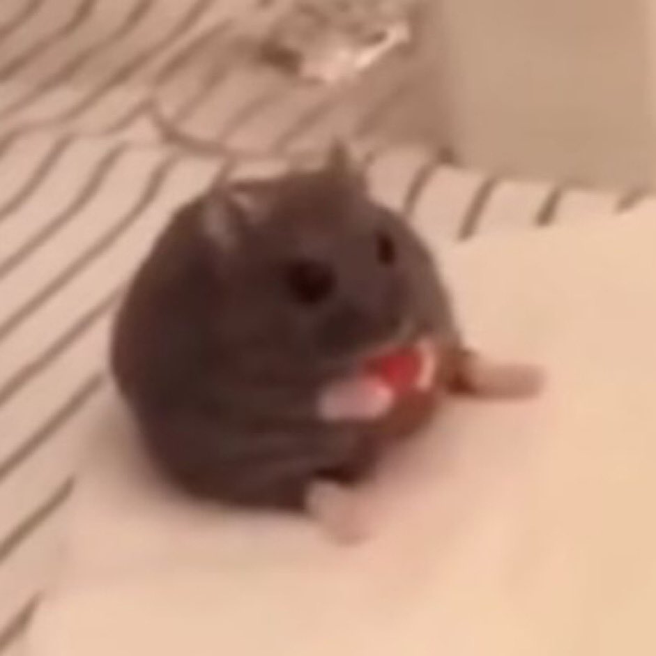 ultracrap's tweet image. accidentally said i ate guinea pig in peru in front of a vegan