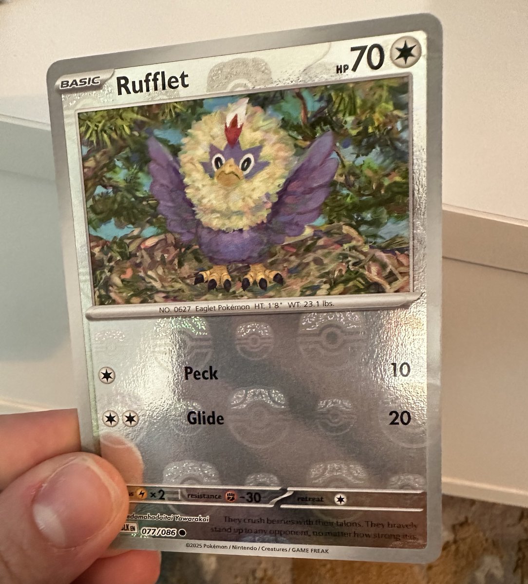 Spoopymel's tweet image. Out of 22 packs I got one single master ball reverse too!!!! It’s cute