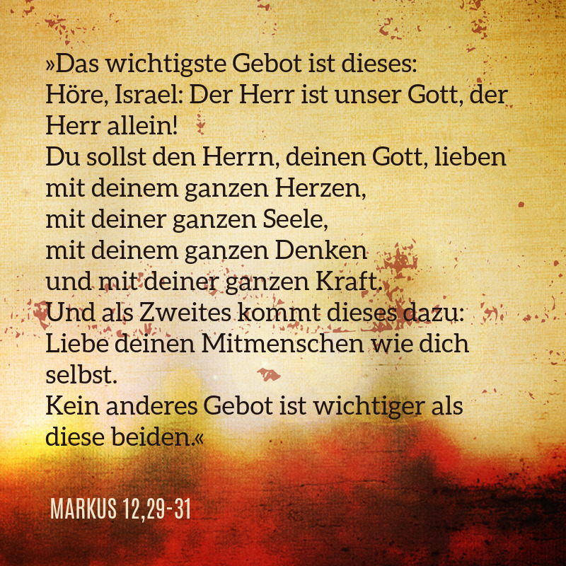 pfarrerb's tweet photo. Was ist das Wichtigste im Leben? Jesus antwortet klar: Gott lieben – mit Herz, Seele, Verstand und Kraft. Und den Nächsten lieben wie sich selbst. 
#Gottesdienst #Predigt #Liebe #Gemeinde #Gott #Nächsten #Gebot #Dobitschen
meine Predigt am Sonntag: https://t.co/G7iuPb15uw https://t.co/OJ7o8BR8eW