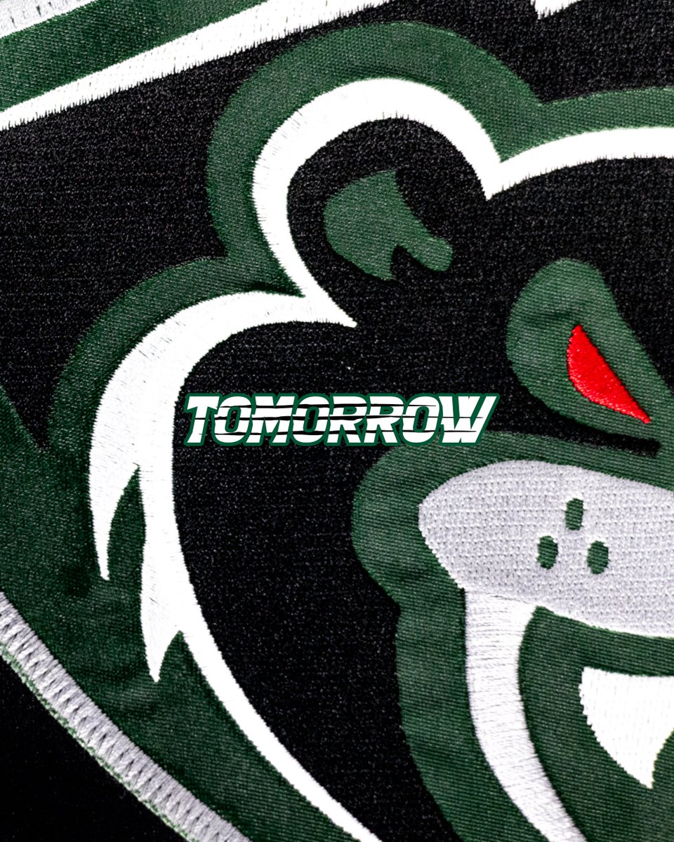 xyz - Everett Silvertips (@whlsilvertips) on Twitter photo 