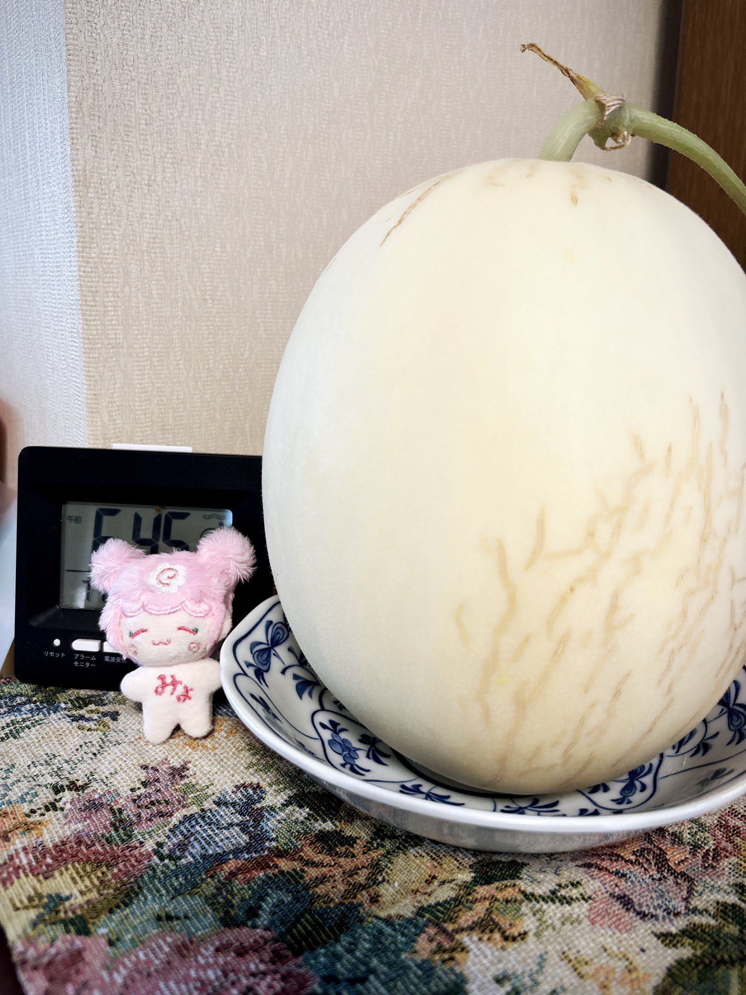 はちこ✨ bf0cffba65df04b939495283cee487