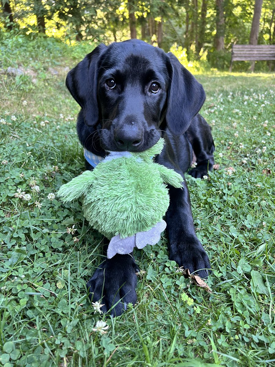 ChuckHodl's tweet image. Home sweet home ❤️ 

Enjoy your weekend!