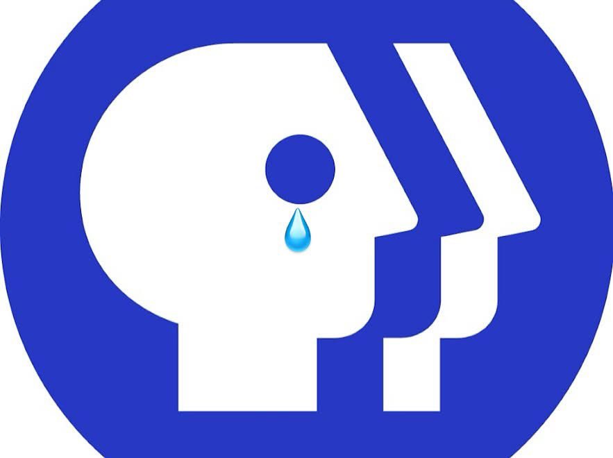 wjpmedia's tweet image. These are sad days for our friends at @PBS and wonderful affiliates such as @WPBSTV and @BTPMPBS so now is a great time to #bemorepbs #supportpbs