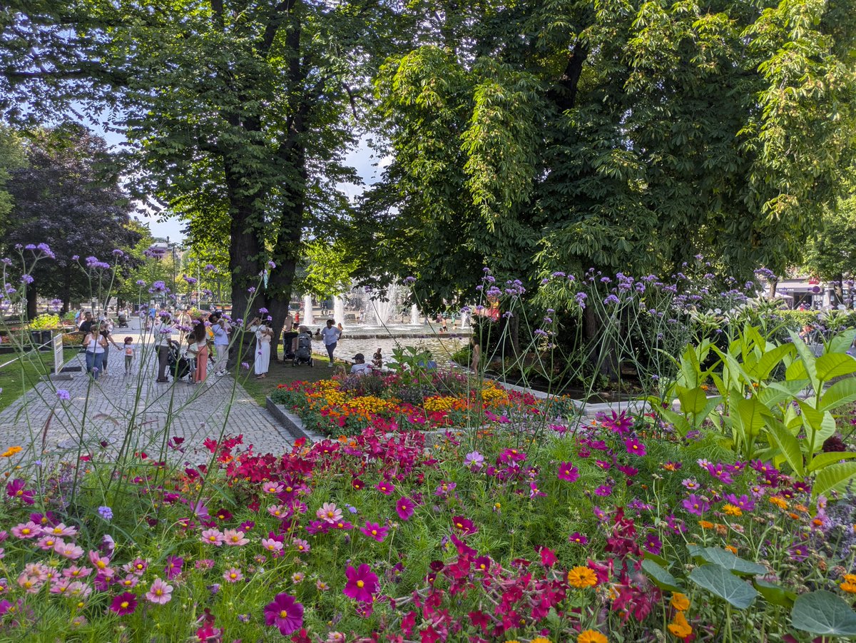 nowhere1237's tweet image. 