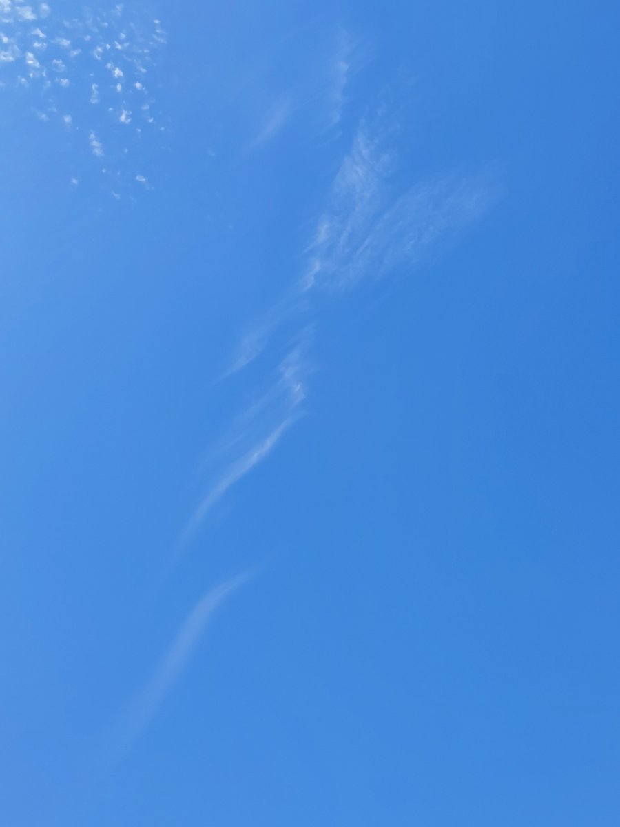 PanicMike13's tweet image. Spreading out