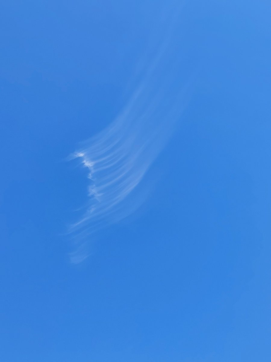 PanicMike13's tweet image. Spreading out