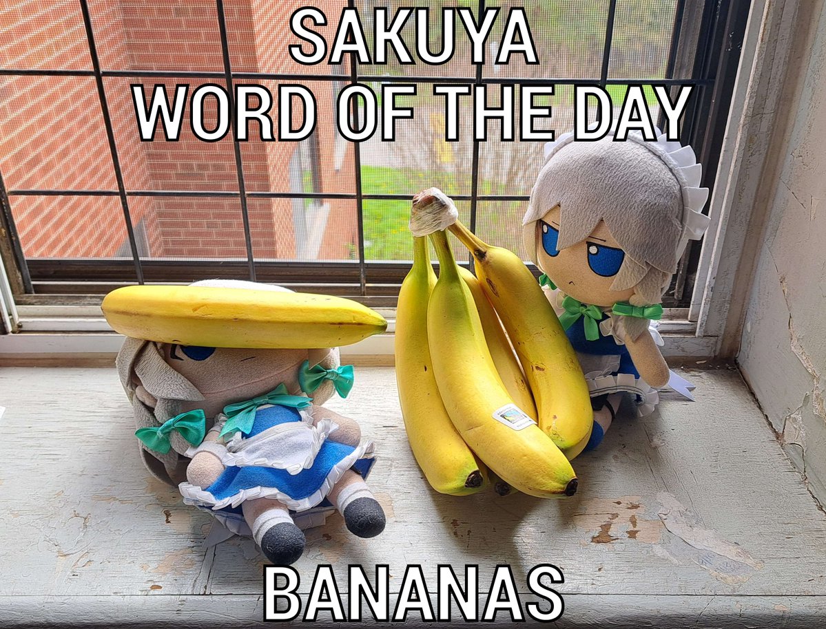 SakuyaWOTD's tweet image. 