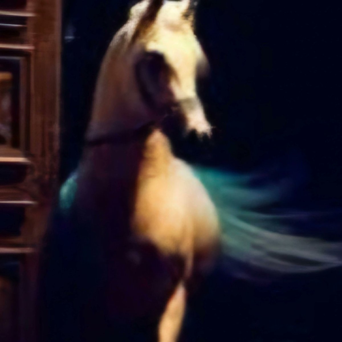 💕horse pride💕 tweet media