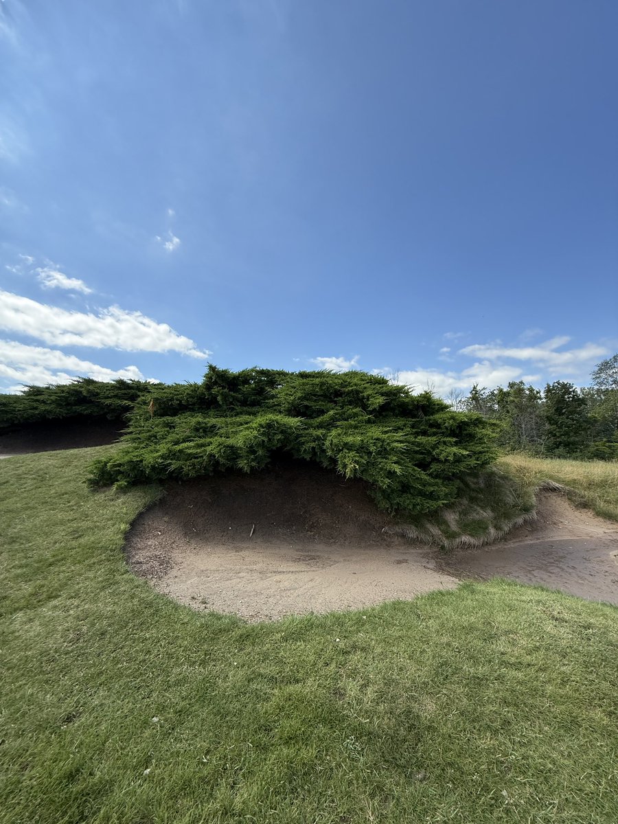 Whistling Straits is pureee. 

Pete Dye’s links-style masterpiece tests every tee shot with wind, bunkers, and fescue. Perfect bentgrass, stunning Lake Michigan views, amazing caddies, and rich PGA history make it unforgettable! #caddysplash #whistlingstraits