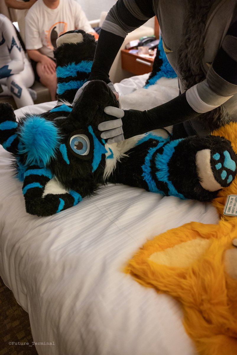 πβ°π±βπͺππ¦ π IFC, MFF (@devlockdadragon) on Twitter photo Oh shoot itβs #FursuitFriday but I forgot and already posted a fursuitβ¦ uhhhβ¦ uhhhβ¦ here have more!!!
Fellow Suiter: <a href="/js_latelier/">Jarry, good boy ver. πΈ</a>
Photographer: <a href="/Future_Terminal/">Future_Terminal π UTFG</a> Oh shoot itβs #FursuitFriday but I forgot and already posted a fursuitβ¦ uhhhβ¦ uhhhβ¦ here have more!!!
Fellow Suiter: <a href="/js_latelier/">Jarry, good boy ver. πΈ</a>
Photographer: <a href="/Future_Terminal/">Future_Terminal π UTFG</a>