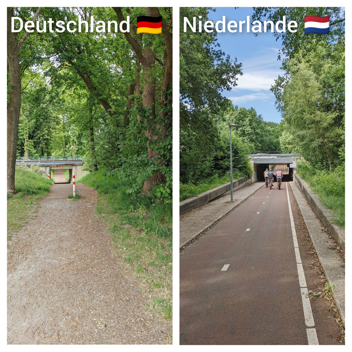 radrevolte tweet media