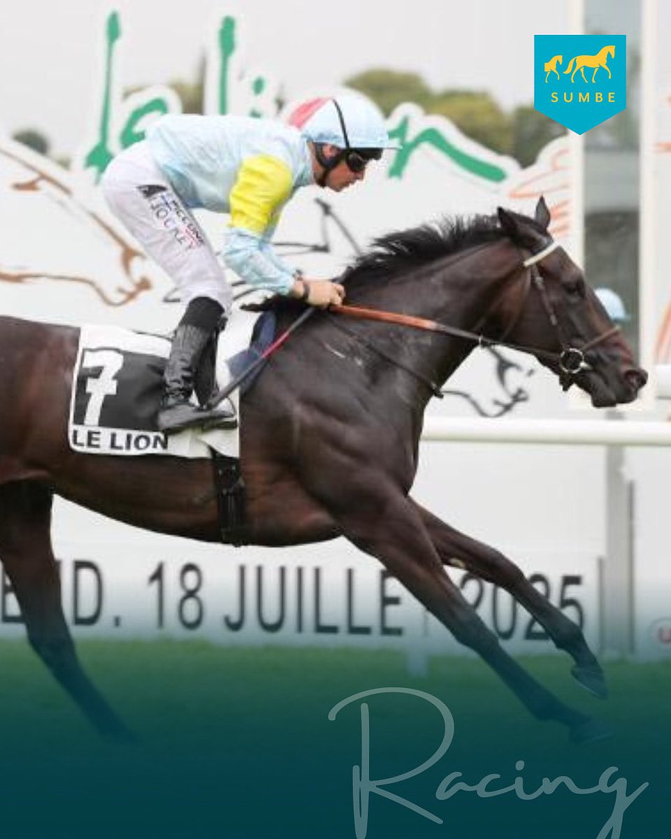 Badana s’impose dans le Prix de la Fée du Mas au Lion d’Angers
