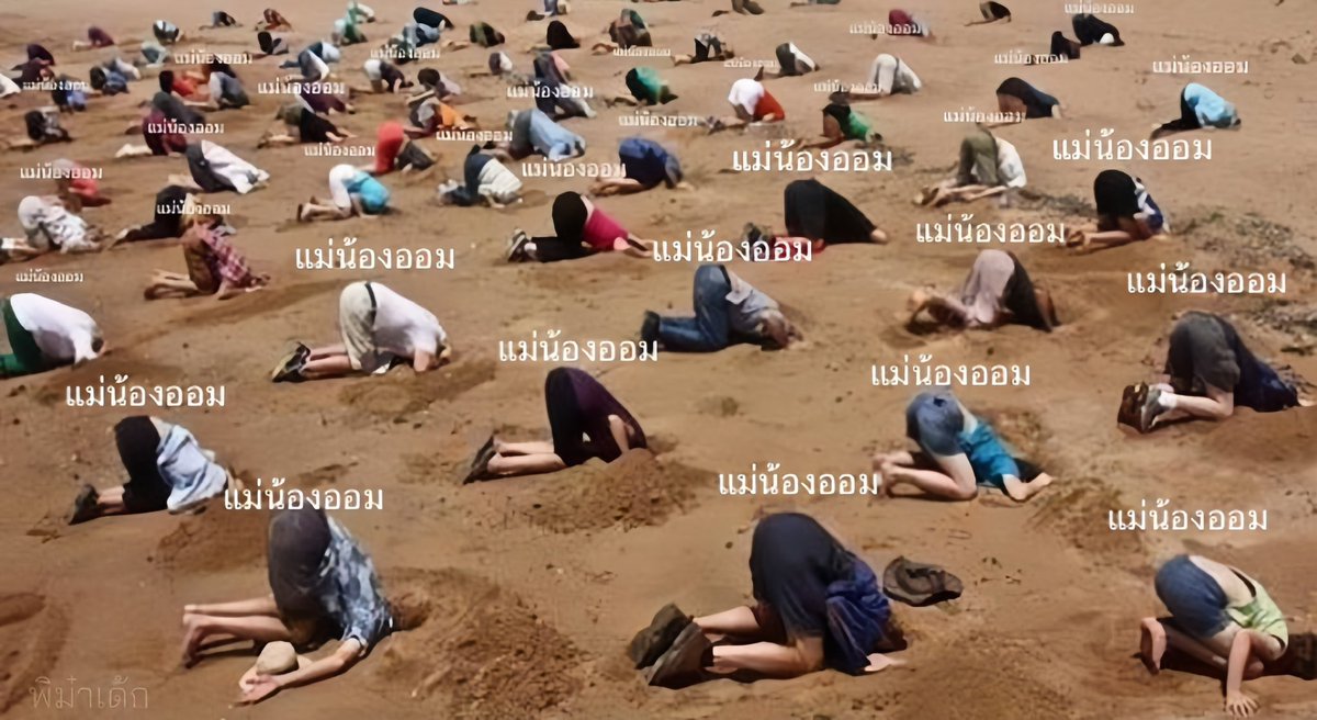 ไอร่า ศศินา ลูกรักอีลอน💅💅🌈💫🦋🐶😽🦜🌈 tweet media