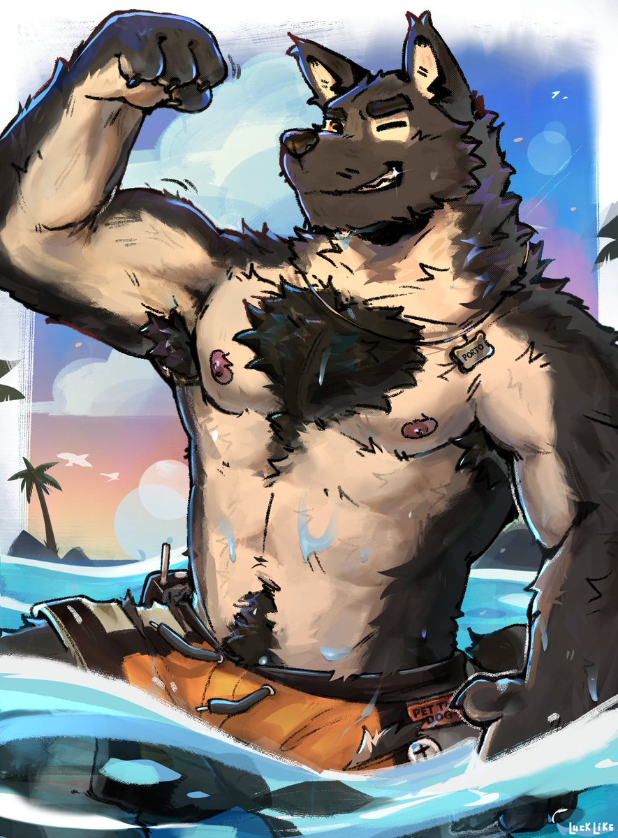 Porto in the beach! 🏖️🐺