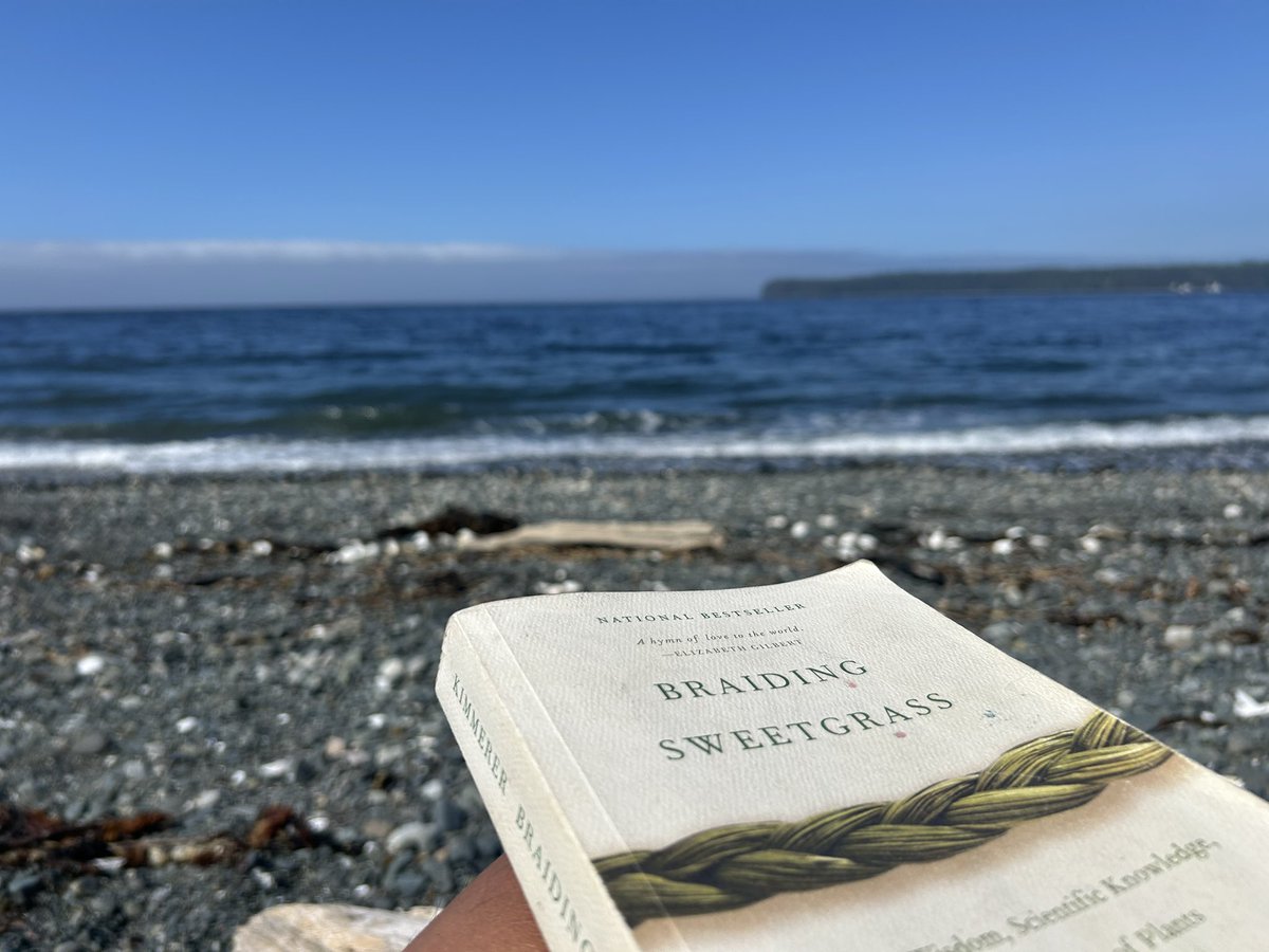 Dennis Bill tweet media