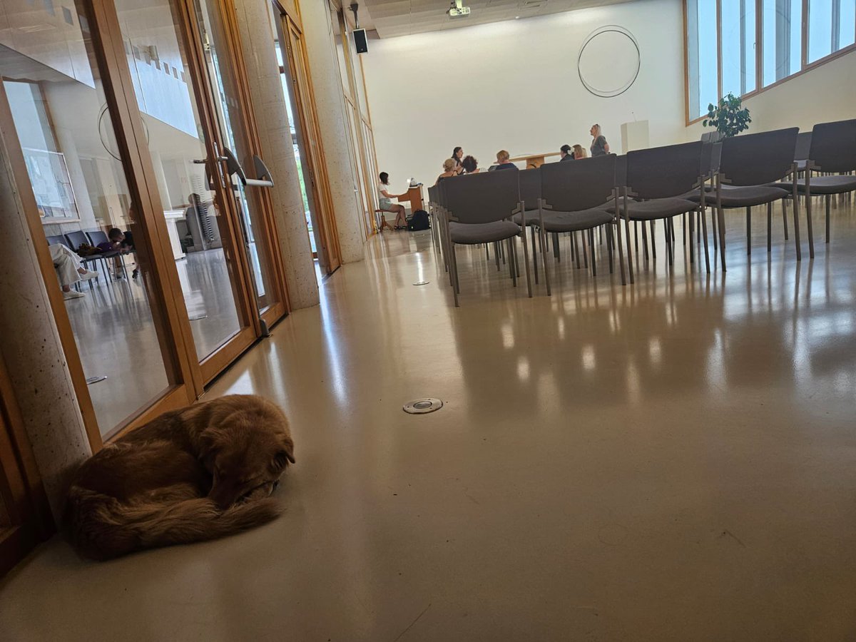 StribrnaM's tweet image. O čem 🐕sní? 💤
Kdyz Sonjašnyk 🌻zpívá?? 🎶
Napadá vás nějaký letní/podzimní fesťák, kam bychom se se svým programem hodili? Už se nám obsazují i vánoční 🎄termíny, ale rádi přijedeme tam, kde naši message ještě neslyšeli 👂🇨🇿🤝🇺🇦❣️
donio.cz/videoklip-vita……