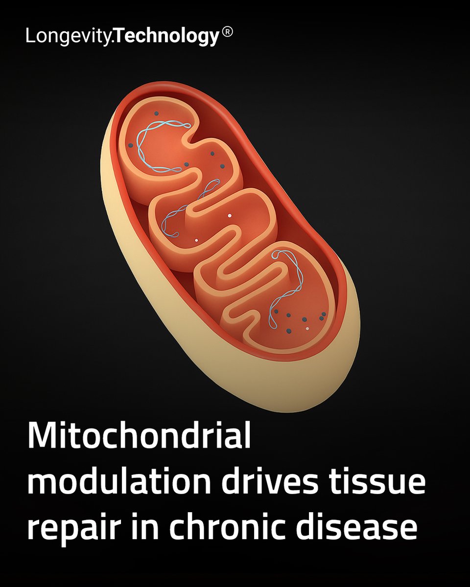 LongevityTech's tweet image. Complex I inhibitors promote tissue regeneration in RA and fibrosis, offering a new therapeutic path for healthy aging and resilience.
longevity.technology/news/mitochond…
#longevity #HealthyAging #Mitochondria #TissueRepair #ChronicDisease