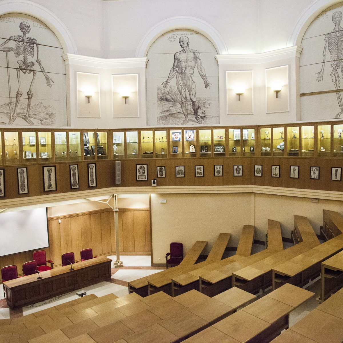 UVa_es's tweet image. 🩺 Nuestra Facultad de Medicina #UVa vuelve a estar de enhorabuena:
Somos la tercera universidad española por rendimiento medio de sus egresados en el examen #MIR2025, solo por detrás de la Autónoma de Madrid y la Universidad Privada de Navarra.
Felicidades a todos los que han…