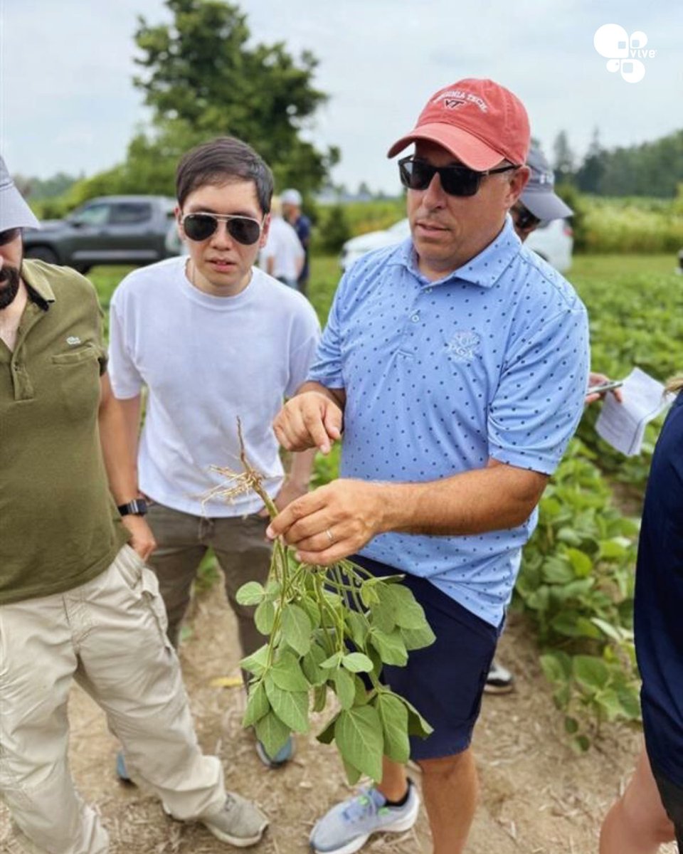 🌾🌱 The Vive Field Team recently visited Black Creek Research and Wellington Ag Research to evaluate wheat and soybean trials. 
 
It was an incredible hands-on opportunity to learn, collaborate, and grow together. A true display of our #CollectiveGenius in action. 👏