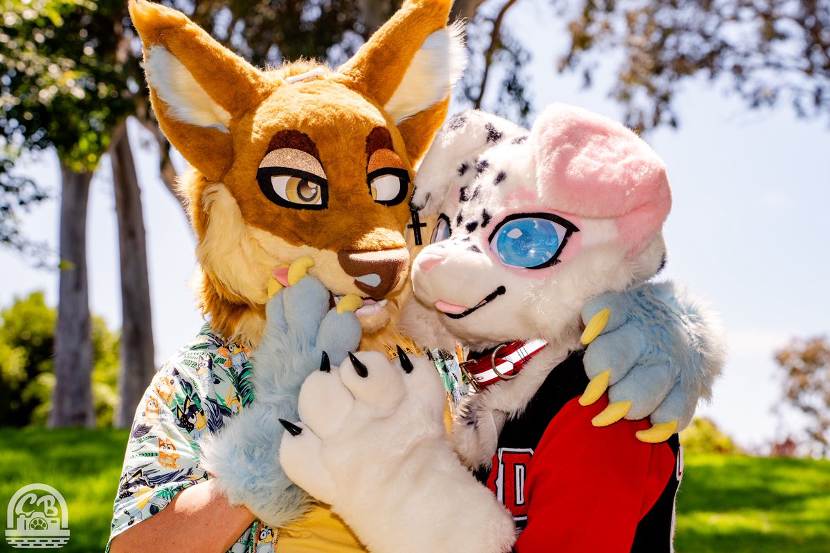 Bullet_Woof's tweet image. Happy fursuit Friday :3