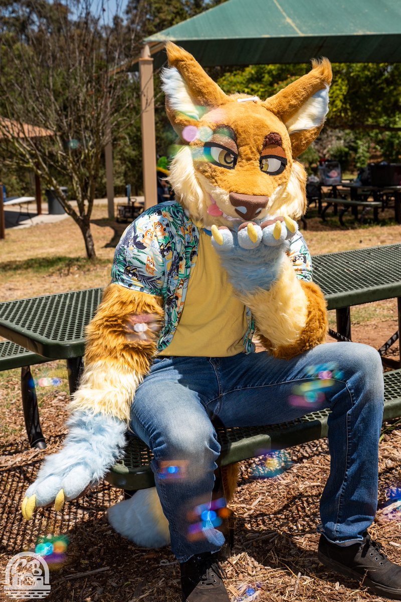Bullet_Woof's tweet image. Happy fursuit Friday :3
