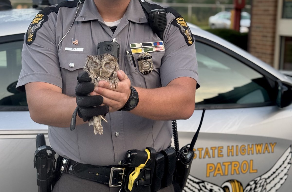 OSHP_NWOhio's tweet image. Last week, Trooper Jordan Cole of the Norwalk Post spotted an injured owl on the roadway. He safely retrieved the bird and transferred it to the Ohio Bird Sanctuary in Mansfield for care and rehabilitation.
Thank you to Trooper Cole for his quick action and compassion!