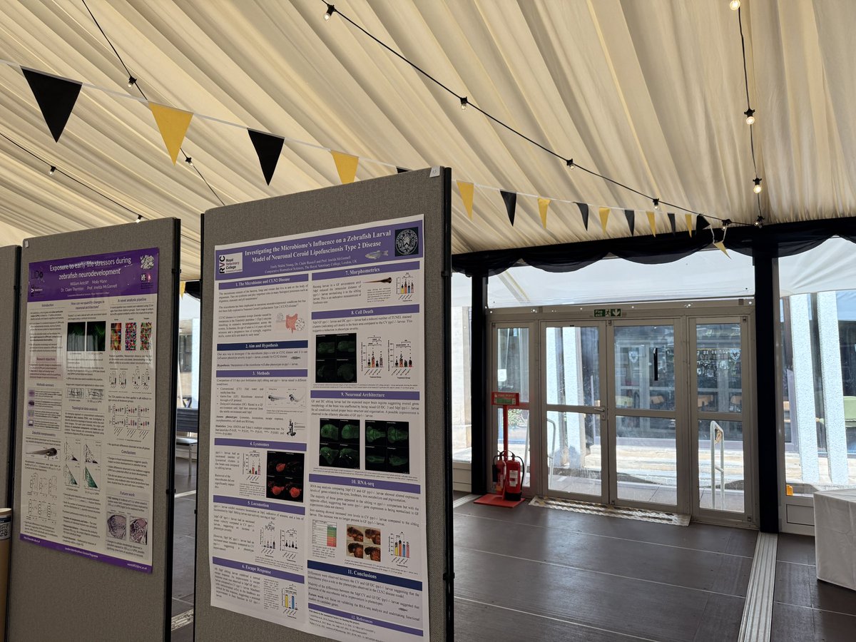 asmitanatomy99's tweet photo. ⭐️ Huge congratulations to all the poster presenters at this year’s #AnatSocSummer25 ! 👏
Brilliant insights, inspiring conversations, and a showcase of exciting anatomical research 🧠📊✨
#AnatSocOxford https://t.co/n40d3ZGkLN