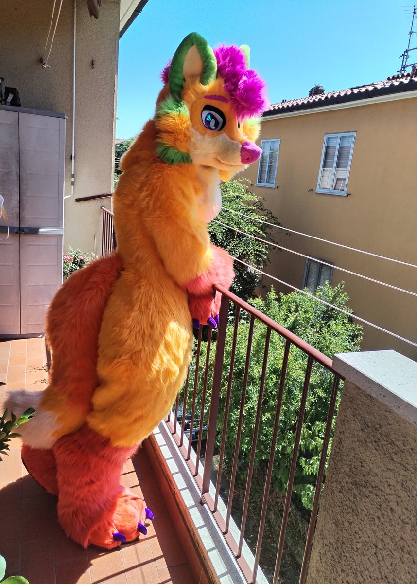 Chilemex_'s tweet photo. Can you believe I finally get to say this for the first time too? Because I still can't, but here we go!

HAPPY #FURSUITFRIDAY EVERYONEEE

Looking forward to sharing many more pics and memories in the future, I'm so incredibly happy about this 🥹

🧵: @random_rituals (THANK YOU) https://t.co/xcnifjrVyd