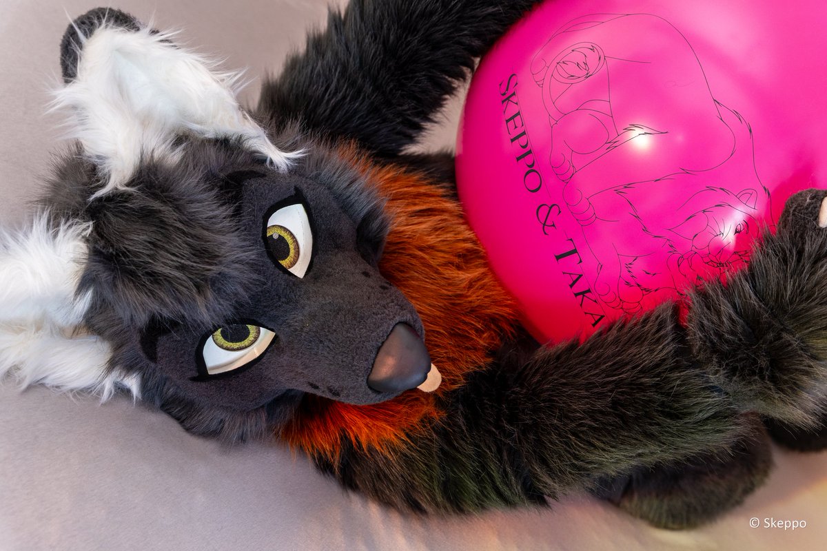 Taka (@takenyachaos) on Twitter photo Who wants to play with me on this #fursuitfriday ?
📷 <a href="/SkeppoBalloon/">SkeppoBalloon 🎈🐾</a>
🧵 <a href="/whitewingsuits/">Whitewing Creations</a>
My Chaos NEWS - Channel:
t.me/chaoswoelfin_o…
•
#furry #furryfandom #FursuitEveryDay #balloon Who wants to play with me on this #fursuitfriday ?
📷 <a href="/SkeppoBalloon/">SkeppoBalloon 🎈🐾</a>
🧵 <a href="/whitewingsuits/">Whitewing Creations</a>
My Chaos NEWS - Channel:
t.me/chaoswoelfin_o…
•
#furry #furryfandom #FursuitEveryDay #balloon