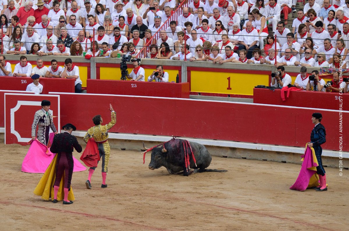AnimaNaturalis's tweet image. 📸💔 NO SON SOLO IMÁGENES. SON VIDAS.
Las imágenes que presentamos aquí no son solo un registro gráfico. Son el testimonio desgarrador de individuos no humanos que han sido torturados públicamente durante las fiestas de #SanFermín, en Pamplona.
FiestasCrueles.org ✍️