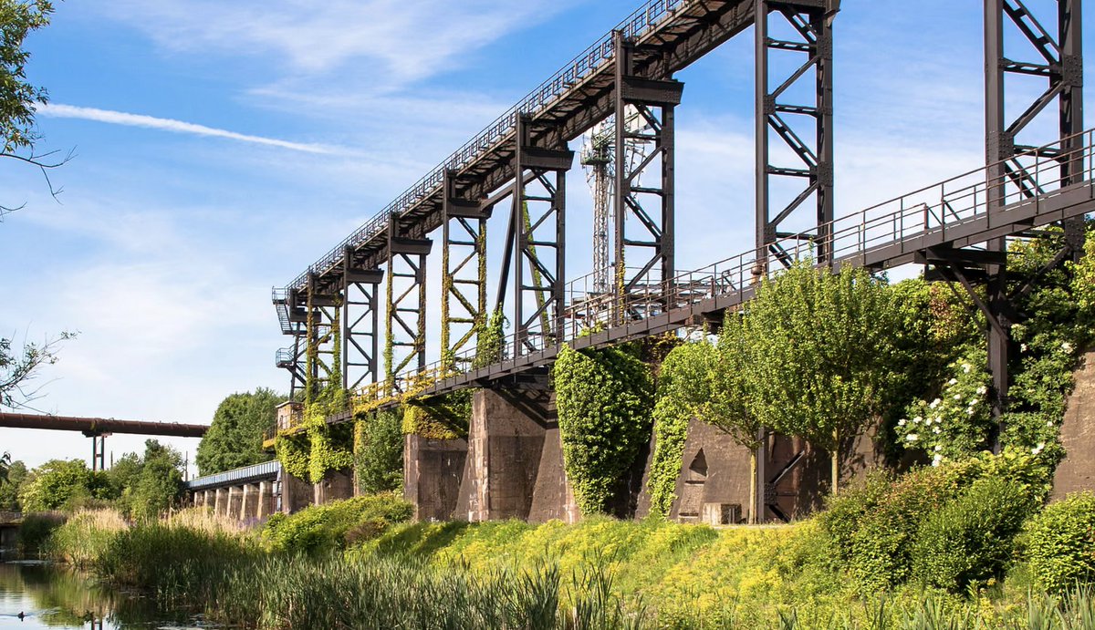 progressntwrk's tweet image. 🌊A biologically dead river in Germany, fouled by human excrement and factory waste, has returned to life after a 5.5 billion euro investment in its cleanup.
🤢The project, critically, was backed by local residents, “who were desperate to get rid of the summer stink.”
🦫Now…