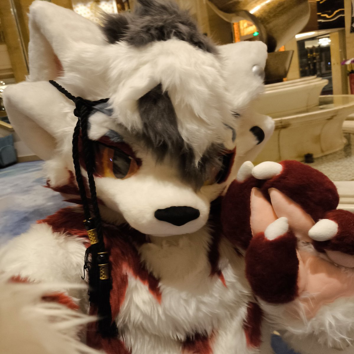 #FursuitFriday 孩子第一个毛五