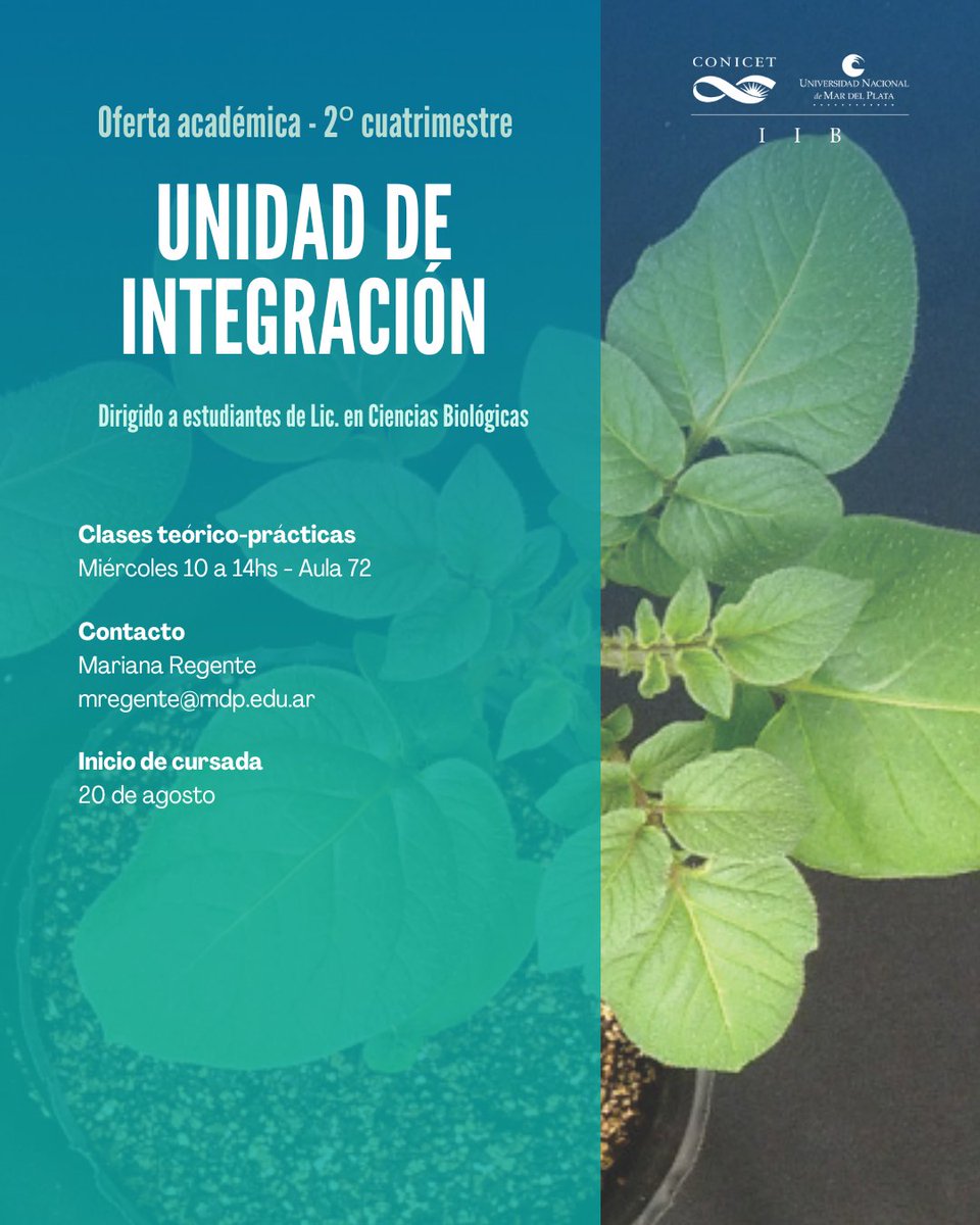 IIB-CONICET-UNMdP (@iibconicetunmdp) on Twitter photo Oferta académica - 2º cuatrimestre - Facultad de Ciencias Exactas y Naturales UNMdP - Unidad de Integración🌿🔬
Contacto: mregente@mdp.edu.ar Oferta académica - 2º cuatrimestre - Facultad de Ciencias Exactas y Naturales UNMdP - Unidad de Integración🌿🔬
Contacto: mregente@mdp.edu.ar