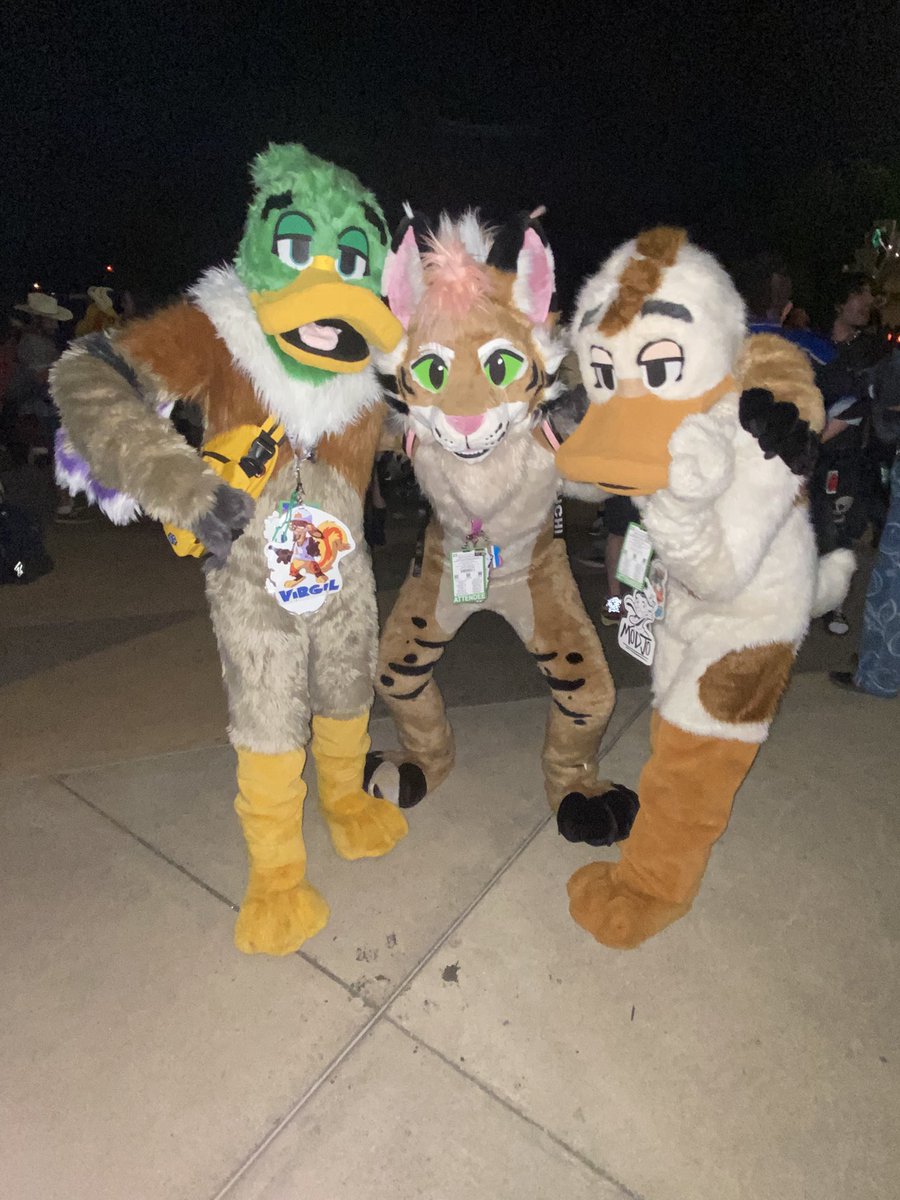 Duck Tale @ LVFC tweet media