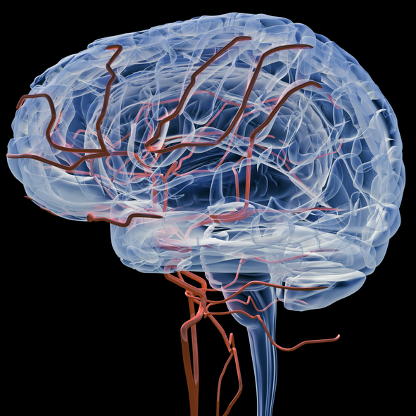 Carilion Clinic Research (@carilionrandd) on Twitter photo Check out this <a href="/CarilionClinic/">Carilion Clinic</a> study that looks at whether a 3D-printed model of a patient's brain and aneurysm can help them better understand their treatment plan. Seeing it in 3D might make things a lot clearer than just looking at scans! bit.ly/3Ur3xJb #BrainAneurysm Check out this <a href="/CarilionClinic/">Carilion Clinic</a> study that looks at whether a 3D-printed model of a patient's brain and aneurysm can help them better understand their treatment plan. Seeing it in 3D might make things a lot clearer than just looking at scans! bit.ly/3Ur3xJb #BrainAneurysm
