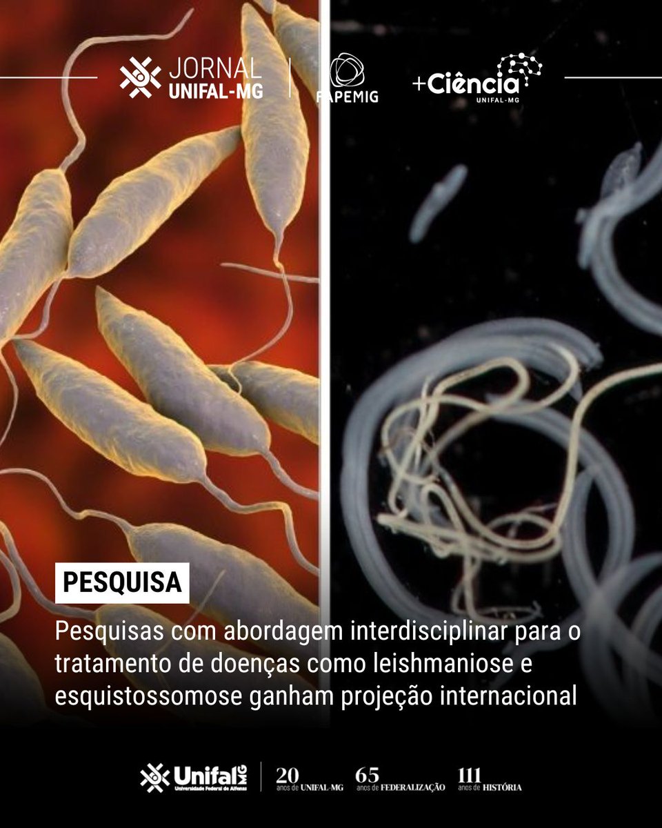 🧪 Pesquisas desenvolvidas na UNIFAL-MG para o tratamento da leishmaniose e esquistossomose têm ganhado destaque internacional em periódicos de alto impacto.

Leia a matéria na íntegra: unif.al/jssgf
