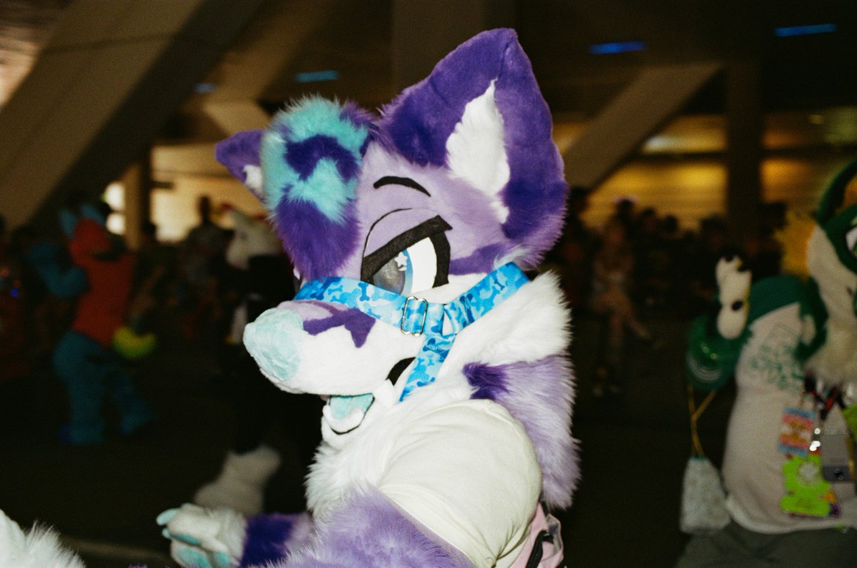 FadedFox's tweet image. Happy #FursuitFriday this picture feels straight from the early 2000s where minecraft only had oak wood and black ops 2 was the newest out..
Miss you anthrocon 💜🥺
🪡 @StardustFoxArt
📷 wolfsreign on furtrack