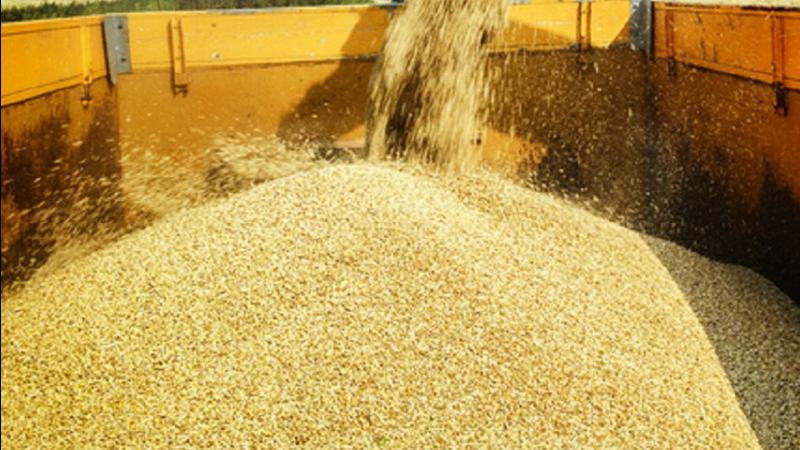 Boosting on-farm profitability by getting the most from harvest equipment dlvr.it/TM09yR