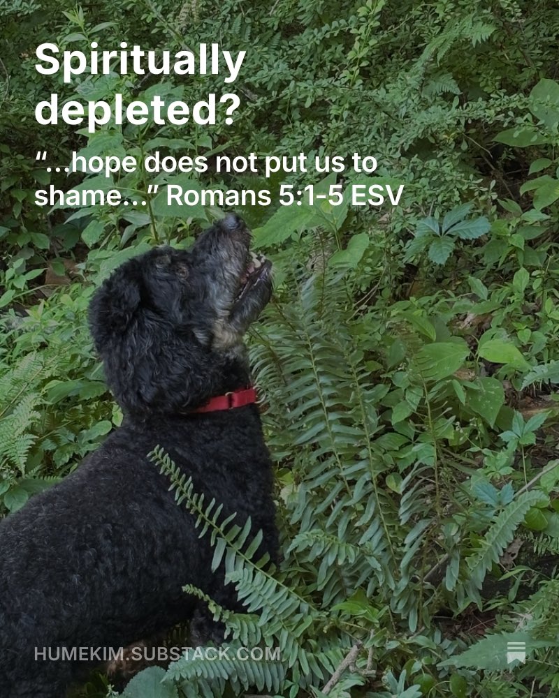 HumeKim's tweet image. Check out my new post on Substack!
Spiritually depleted? open.substack.com/pub/humekim/p/…
