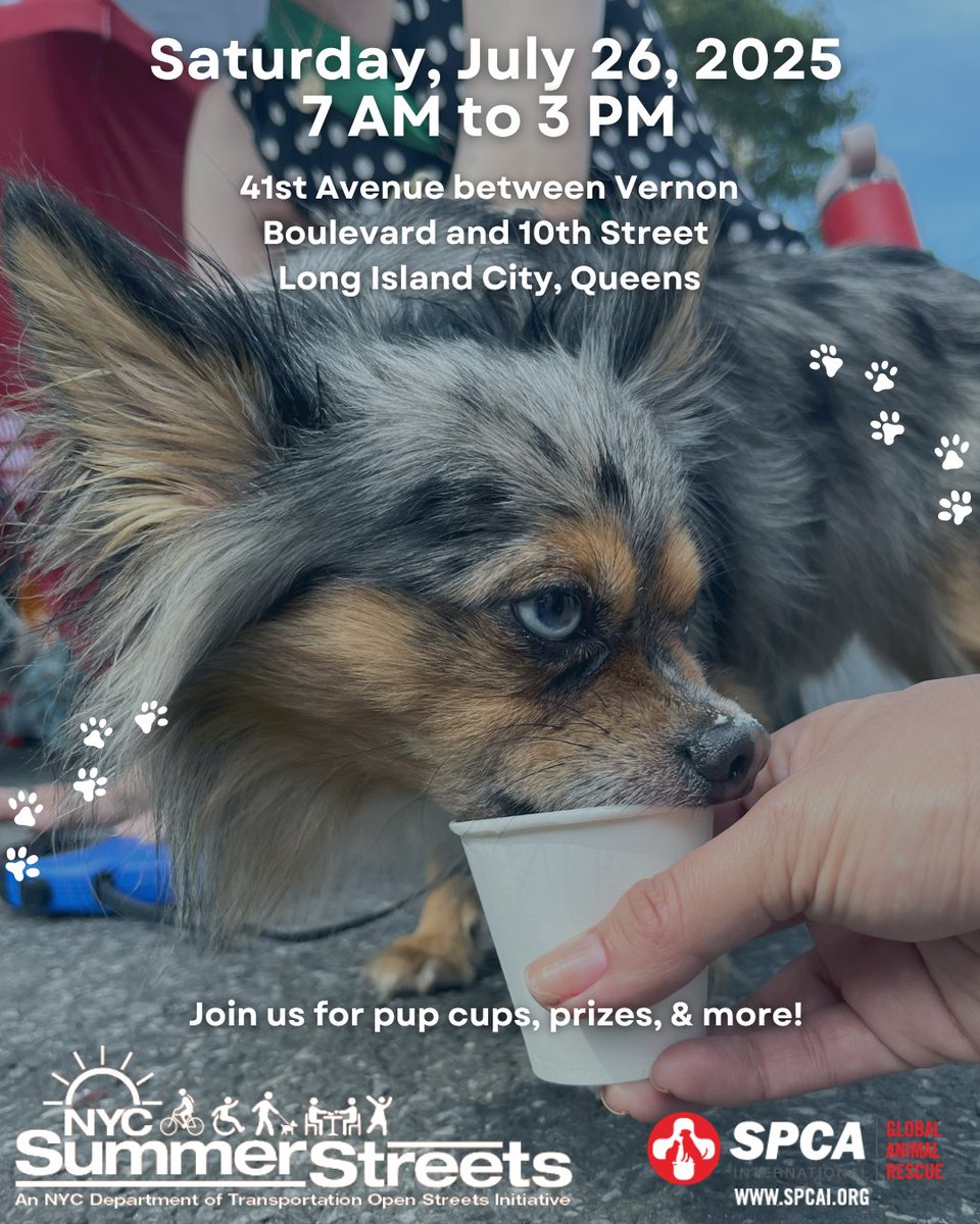 🐾 We're back at NYC Summer Streets in Queens! 🐶☀️ Join us July 26, 7 AM - 3 PM on 41st Ave for a tail-wagging time! Grab a free pup cup! #SummerStreets #NYCDogs #NYCEvents #DogEventsNYC #LICEvents #SPCAInternational #AnimalRescue #DogDaysOfSummer #PupCups #AnimalWelfare #SPCAI