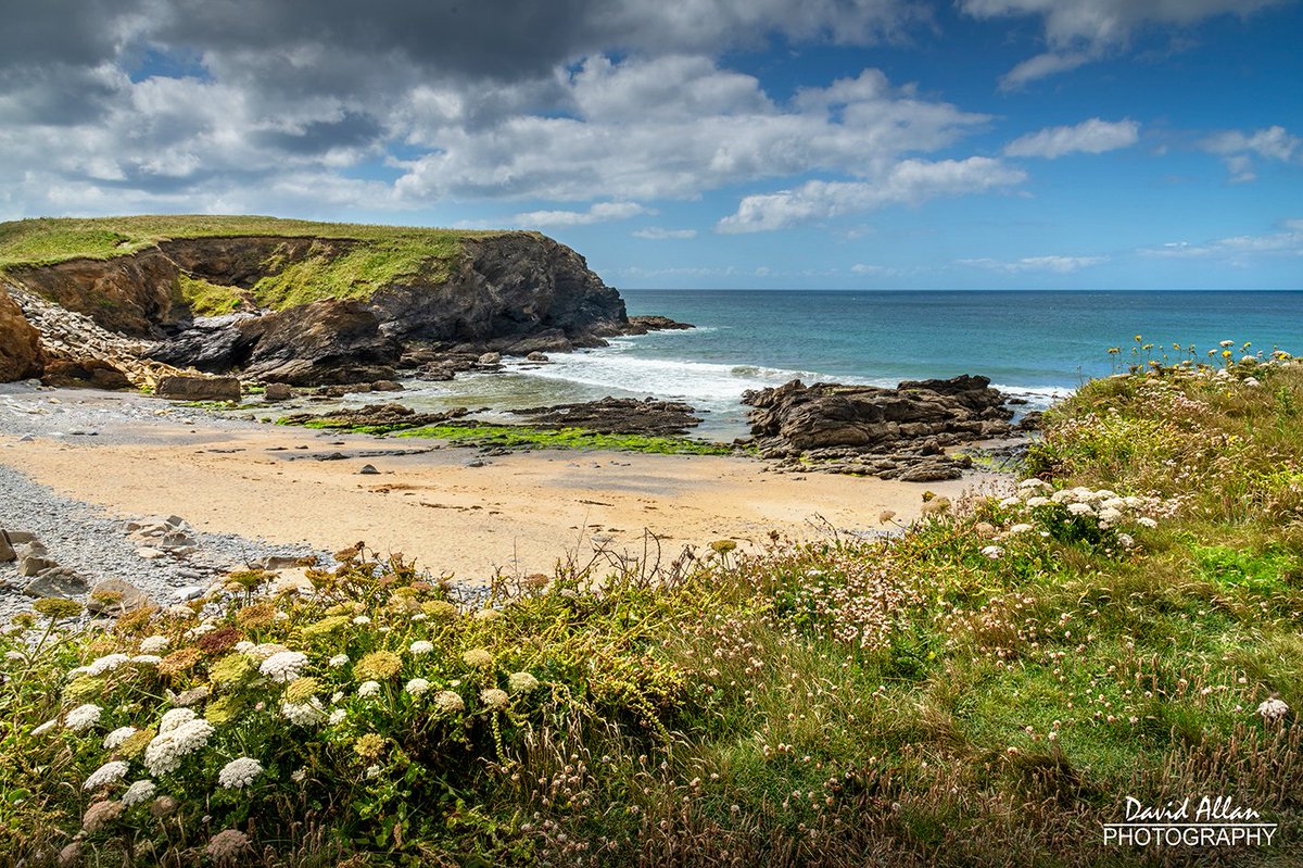 David Allan (@davidm_allan) on Twitter photo Jangye-ryn on Cornwall's Lizard Peninsula, also known as 'Dollar Cove', after a ship wrecked in 1669, said to have been carrying a large amount of silver. The cove was also a location in the TV adaptation of Poldark... #cornwall #summer #photography <a href="/EnglandCoastal/">King Charles III England Coast Path</a> <a href="/VisitEngland/">VisitEngland</a> Jangye-ryn on Cornwall's Lizard Peninsula, also known as 'Dollar Cove', after a ship wrecked in 1669, said to have been carrying a large amount of silver. The cove was also a location in the TV adaptation of Poldark... #cornwall #summer #photography <a href="/EnglandCoastal/">King Charles III England Coast Path</a> <a href="/VisitEngland/">VisitEngland</a>