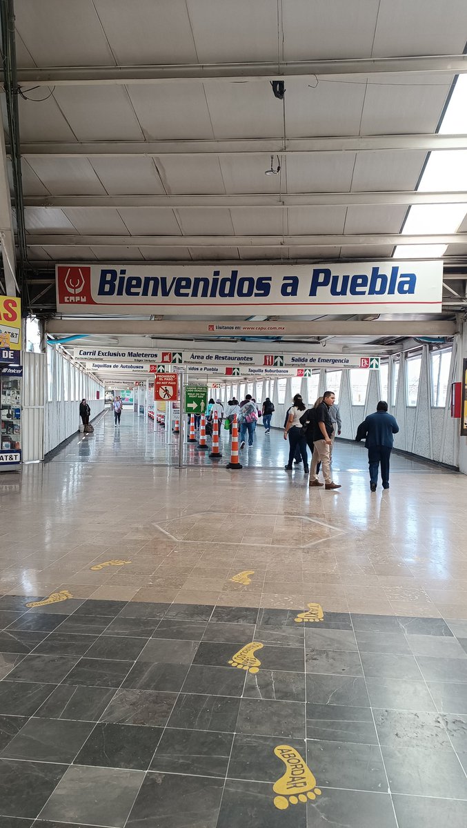 MaxWoxiie's tweet image. Que sigue de aquí