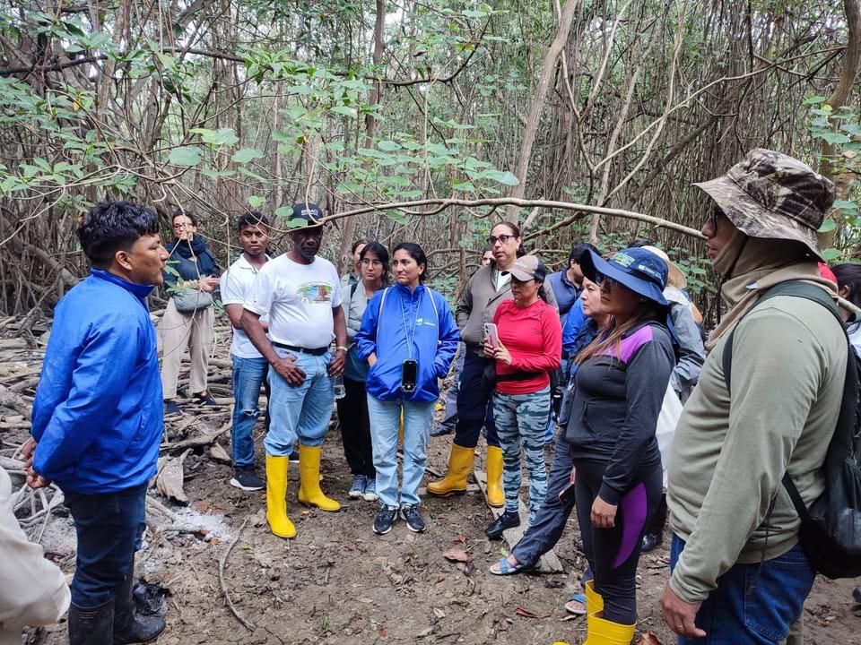 LauraIMelo's tweet image. 🤝✨ Hoy reafirmamos el compromiso de @ONUecuador con la acción humanitaria en 🇪🇨.
En un contexto desafiante, el trabajo coordinado del Equipo Humanitario País es clave para llegar a quienes más lo necesitan.
Gracias a todos los socios que hacen posible esta labor. 💙🙌